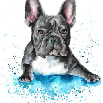 Bulldog tetoválási
