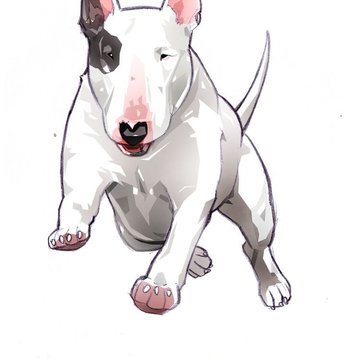 bullterrier tetoválás minta