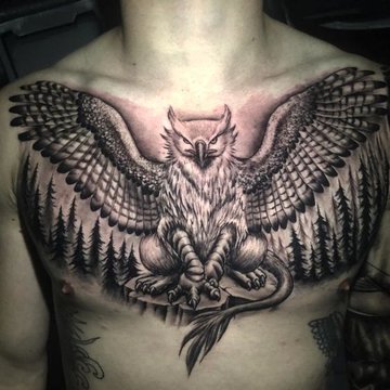 Griffin ttetoválás minta