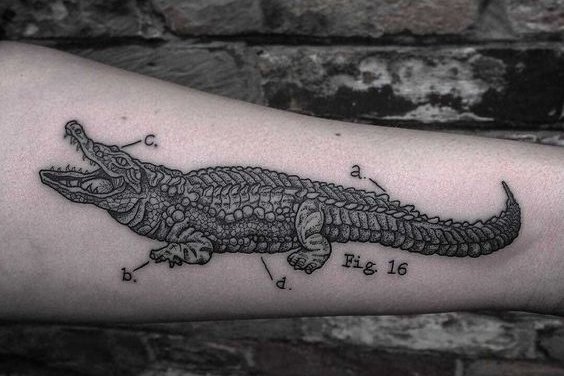 Krokodil tetoválás minták
