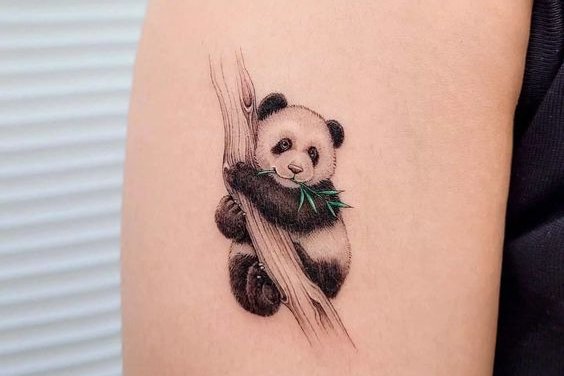 Panda tetoválási