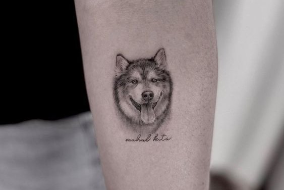 "Husky" tetoválási vázlatok