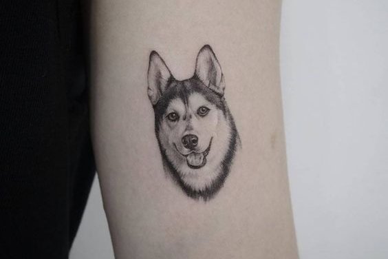 "Husky" tetoválási vázlatok