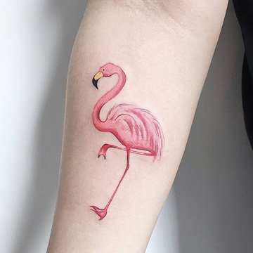 Flamingó tetoválási vázlatok
