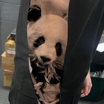 Panda tetoválási