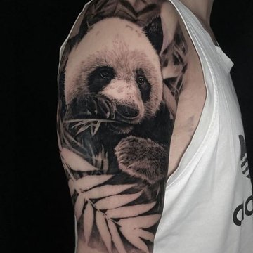 Panda tetoválási