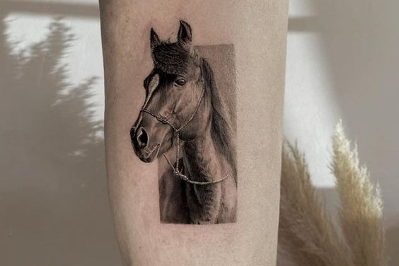Ló tetoválás minták