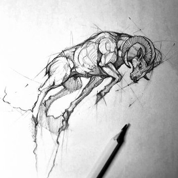 Sketch style tetoválás vázlatok