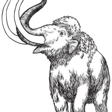 Mamut tetoválási
