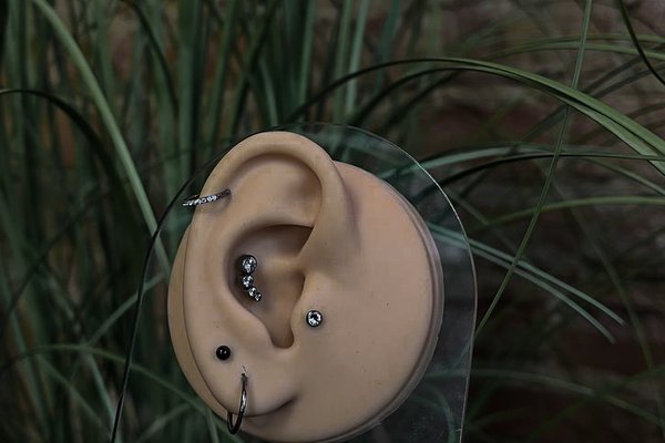 Piercing training in Pécs