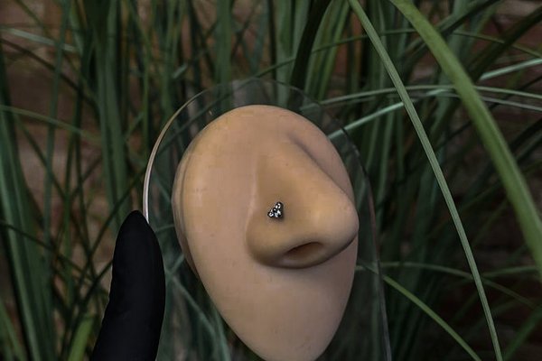 Piercing training in Pécs