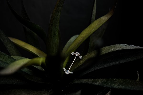 Piercing training in Budapest
