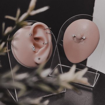 Piercing Training in Debrecen