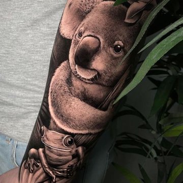 Koala tetoválás minták