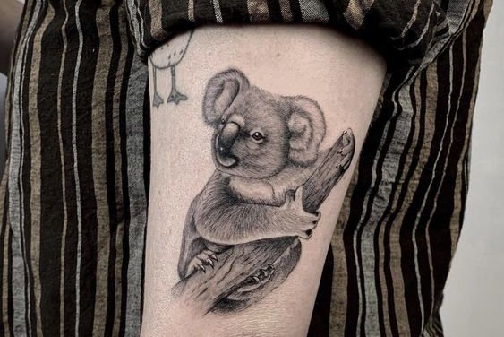 Koala tetoválás minták