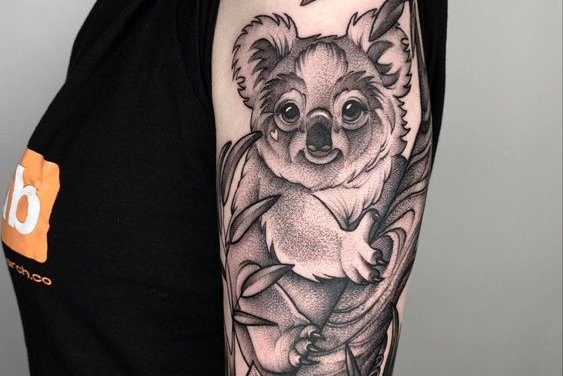 Koala tetoválás minták