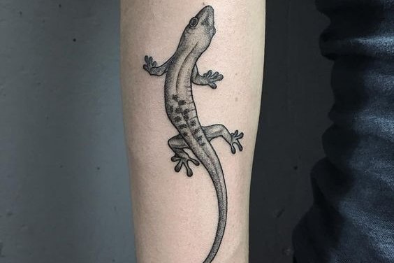 Gyík tetoválási vázlatok