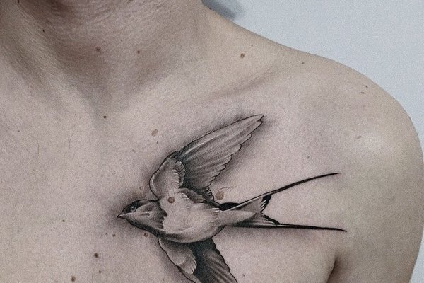 Tattoo in Pécs