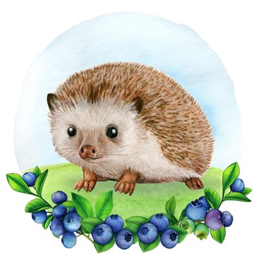 sündisznó tetoválás