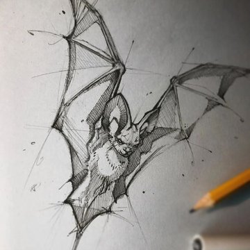 Sketch style tetoválás vázlatok