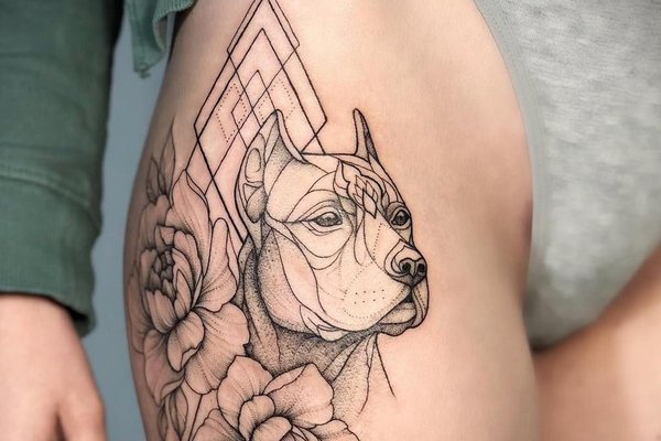 Pitbull tetoválási