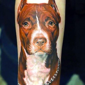Pitbull tetoválási