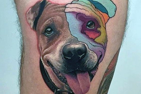 Pitbull tetoválási