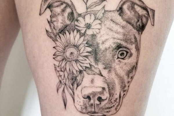 Pitbull tetoválási