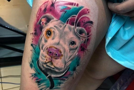 Pitbull tetoválási