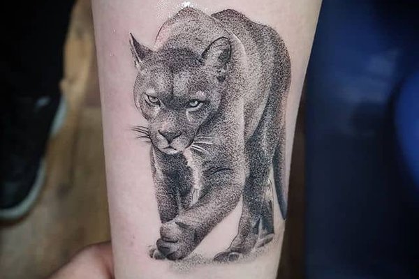 Puma tetoválási