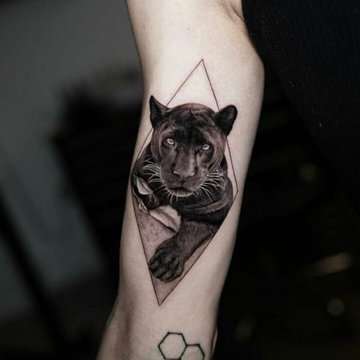 Puma tetoválási