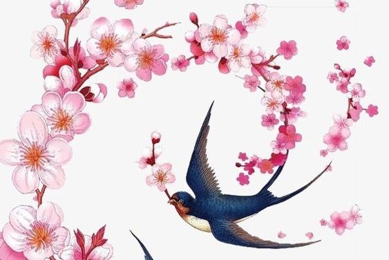 Sakura ág tetoválási vázlatok