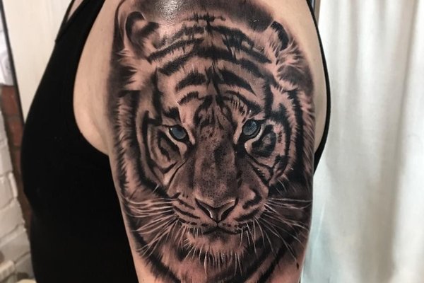 Tigris tetoválási