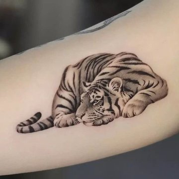 Tigris tetoválási