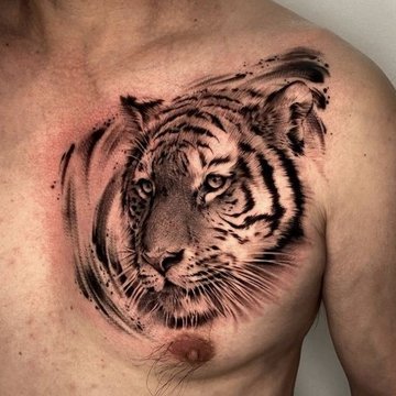 Tigris tetoválási