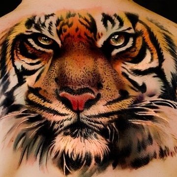 Tigris tetoválási